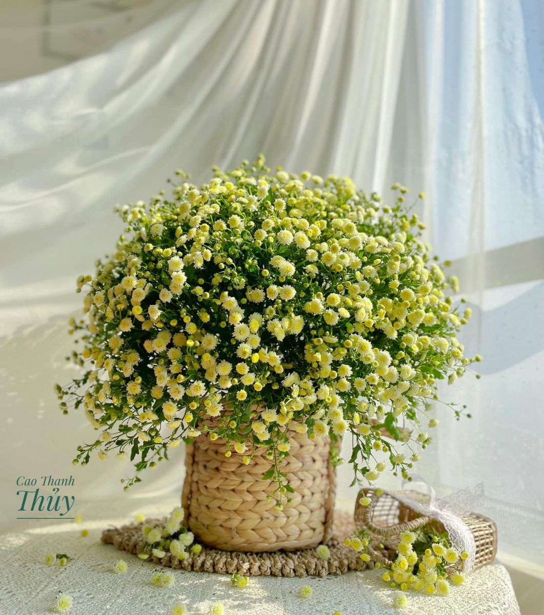 Tử vi ngày 25/9/2022 của 12 cung hoàng đạo